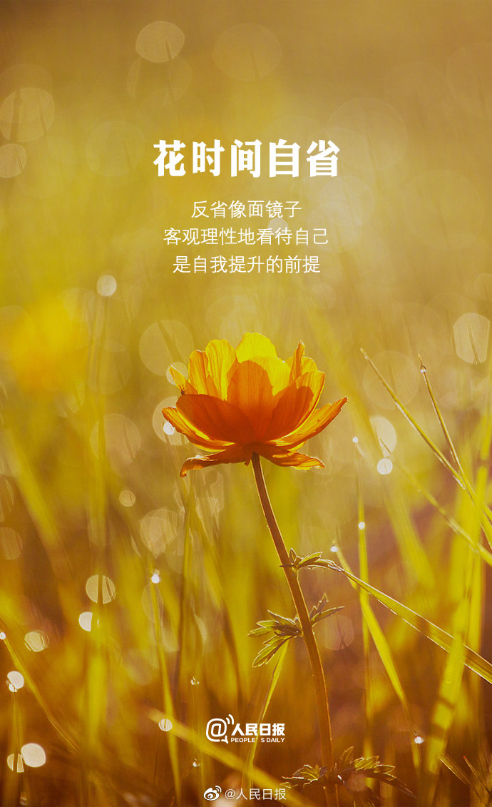 別讓過了頭的舒適，毀了你的人生